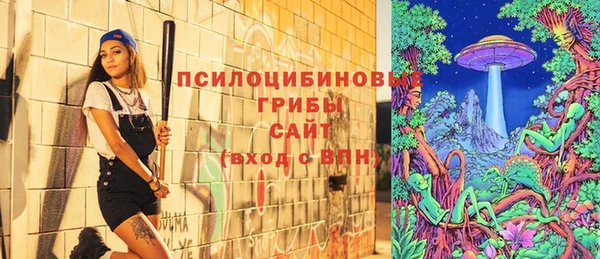 прущая мука Алзамай
