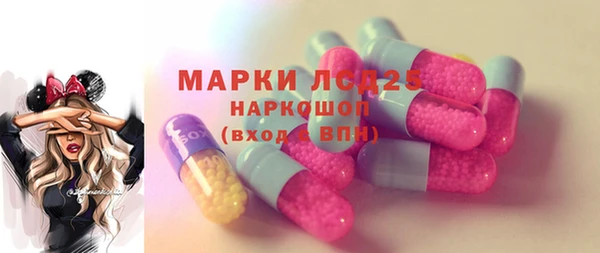 apvp Алексин