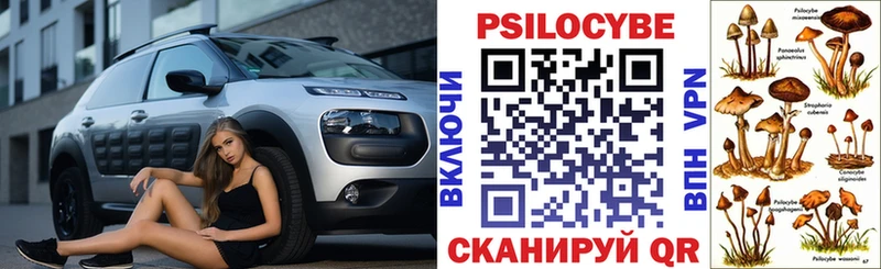 как найти закладки  Берёзовский  Галлюциногенные грибы Psilocybine cubensis 